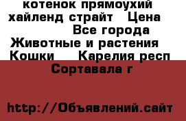 котенок прямоухий  хайленд страйт › Цена ­ 10 000 - Все города Животные и растения » Кошки   . Карелия респ.,Сортавала г.